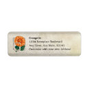 Suche nach gerberas Orange