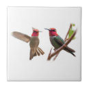 Suche nach juwelen fliesen Natur