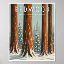 Suche nach redwood poster Nationalpark