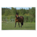 Suche nach grün und braun poster Jede person