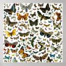 Suche nach lithographie poster Druck