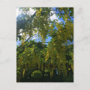 Suche nach cork postkarten Ireland