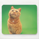 Suche nach aufpassen mousepads Vertikal