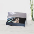 Suche nach hundebilder karten Niedliche hunde