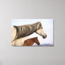 Suche nach pferdebilder leinwandbilder Pferdephotographie
