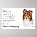 Suche nach sheltie poster Niedlich