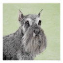 Suche nach schnauzer hunde poster Standard