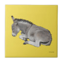 Suche nach fohlen fliesen Niedlich