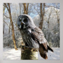 Suche nach euler poster Leinwand