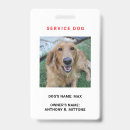 Suche nach hunde büro zubehör Offiziell
