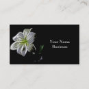 Suche nach weiße lilien visitenkarten Für alle