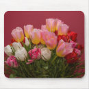 Suche nach weiße tulpen mousepads Frühlingsblumen