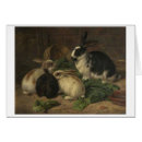 Suche nach kopfsalat postkarten Häschen