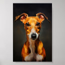 Suche nach whippet poster Welpe