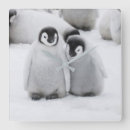 Suche nach penguin wanduhren Antarktis