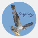 Suche nach osprey aufkleber Jagd
