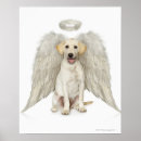 Suche nach unschuld poster Vertikal