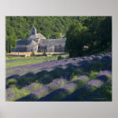 Suche nach lavendelfeld poster Landwirtschaft