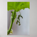 Suche nach praying poster Photography