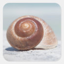 Suche nach st petersburg aufkleber Strand