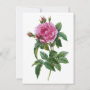 Suche nach vintage rosa rosen karten Jede person