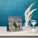 Suche nach geweihe haustier fotoplatten Wapiti