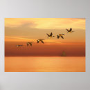 Suche nach gänse poster Jede person