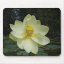 Suche nach lotos mousepads Für alle