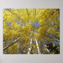 Suche nach steve poster Natur