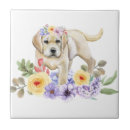 Suche nach gelber labrador fliesen Für alle