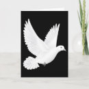 Suche nach weißtaube postkarten Valentinstag