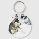 Suche nach schlittenhund accessoires Schnee