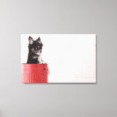 Suche nach chihuahua leinwandbilder Niedlich