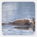 Suche nach seeotter aufkleber Tier