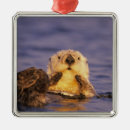 Suche nach fauna ornamente Tier