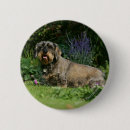 Suche nach draht buttons Bob und pam langrish