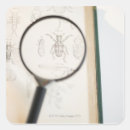 Suche nach biologie aufkleber Bildung