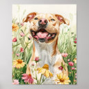 Suche nach pit bull poster Grubenbulart
