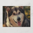 Suche nach malamute postkarten Kinder