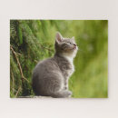 Suche nach coole katzen puzzle Für kinder