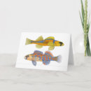 Suche nach orange fische alle karten Fischerei