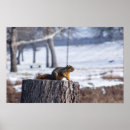 Suche nach eichhörnchen poster Jede person
