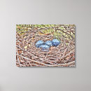Suche nach eier leinwandbilder Nest