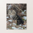 Suche nach maine coon puzzle Natur