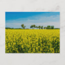 Suche nach gelber himmel postkarten Landwirtschaft