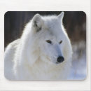 Suche nach arktisch mousepads Tiere