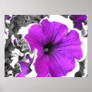 Suche nach abgetönt poster Mit blumen