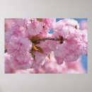 Suche nach rosa baum poster Pink