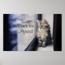 Suche nach tierthemen poster Kätzchen