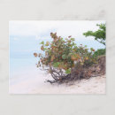 Suche nach lanikai postkarten Strand